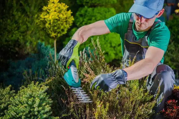 landscaping services Crestview Hills